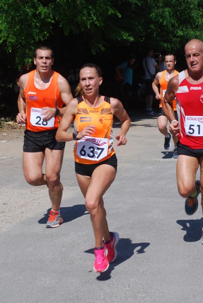 Maratonina di Villa Adriana (31/05/2015) 00058