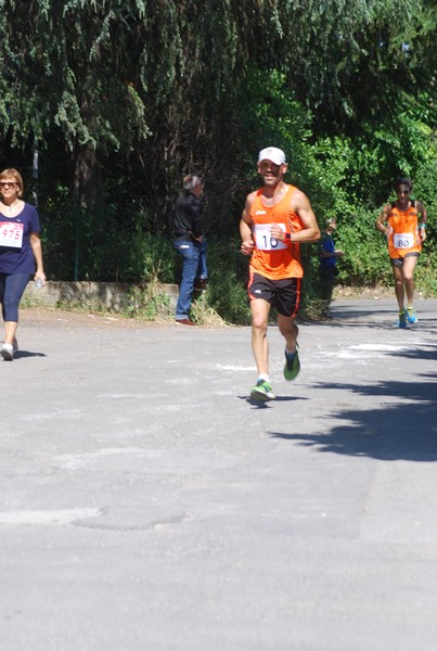 Maratonina di Villa Adriana (31/05/2015) 00062