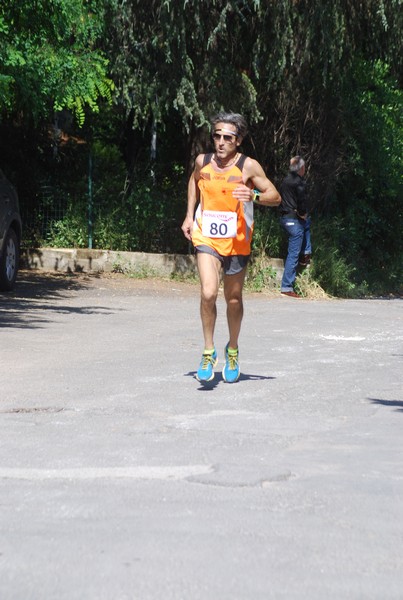 Maratonina di Villa Adriana (31/05/2015) 00069