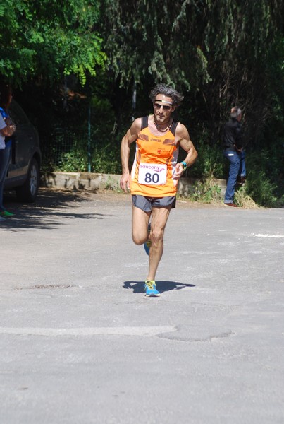 Maratonina di Villa Adriana (31/05/2015) 00070