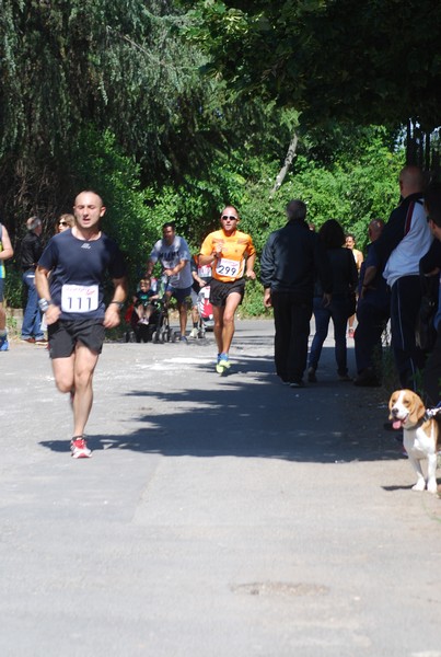 Maratonina di Villa Adriana (31/05/2015) 00090