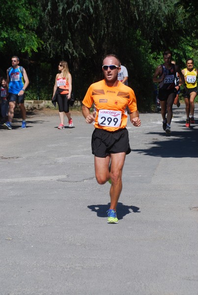 Maratonina di Villa Adriana (31/05/2015) 00097