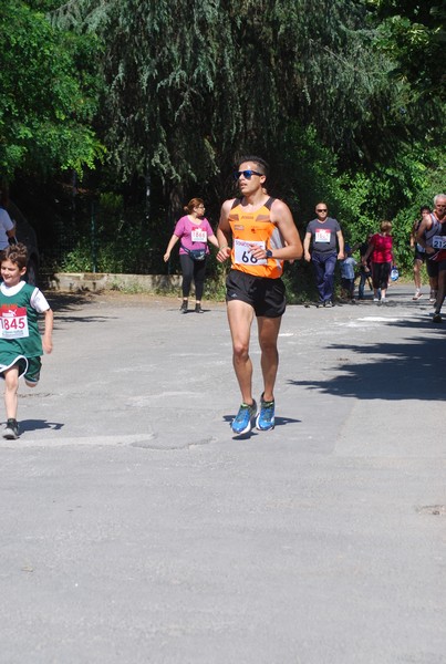 Maratonina di Villa Adriana (31/05/2015) 00109