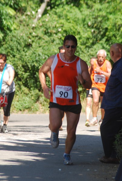 Maratonina di Villa Adriana (31/05/2015) 00113