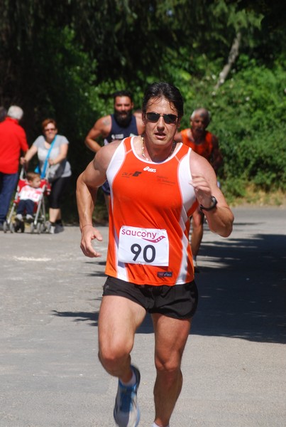 Maratonina di Villa Adriana (31/05/2015) 00120