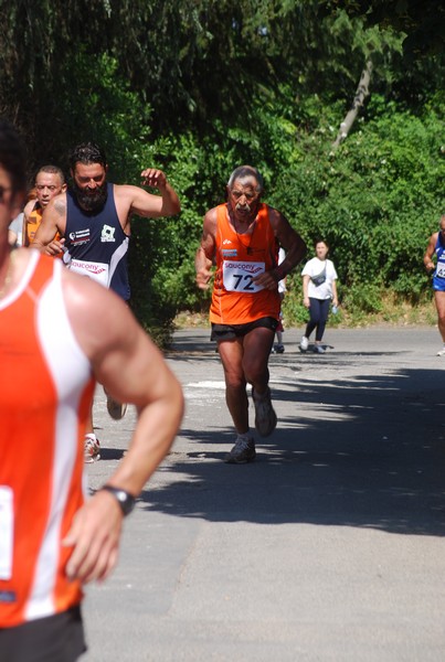 Maratonina di Villa Adriana (31/05/2015) 00122