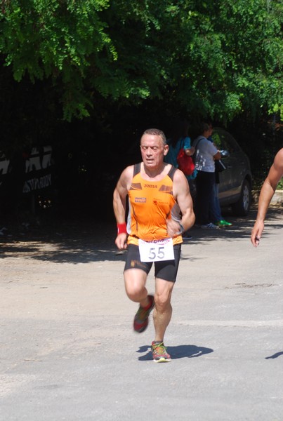 Maratonina di Villa Adriana (31/05/2015) 00125