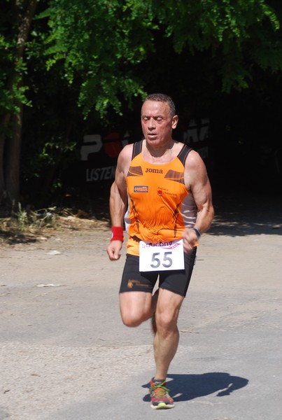 Maratonina di Villa Adriana (31/05/2015) 00126