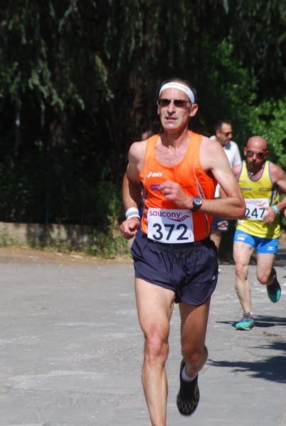Maratonina di Villa Adriana (31/05/2015) 00133