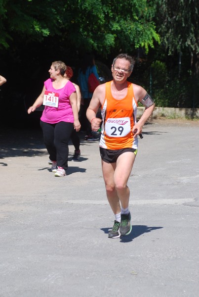 Maratonina di Villa Adriana (31/05/2015) 00151