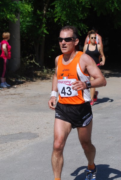 Maratonina di Villa Adriana (31/05/2015) 00160