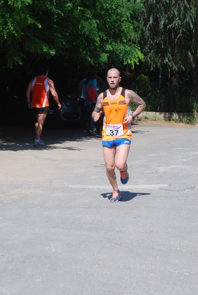 Maratonina di Villa Adriana (31/05/2015) 00162