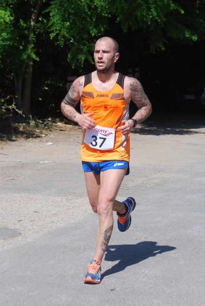 Maratonina di Villa Adriana (31/05/2015) 00165