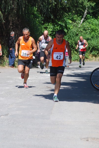 Maratonina di Villa Adriana (31/05/2015) 00168