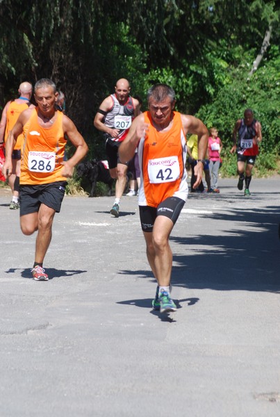 Maratonina di Villa Adriana (31/05/2015) 00169