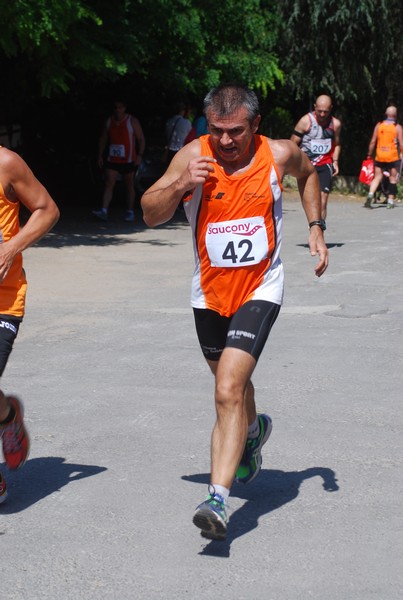 Maratonina di Villa Adriana (31/05/2015) 00173