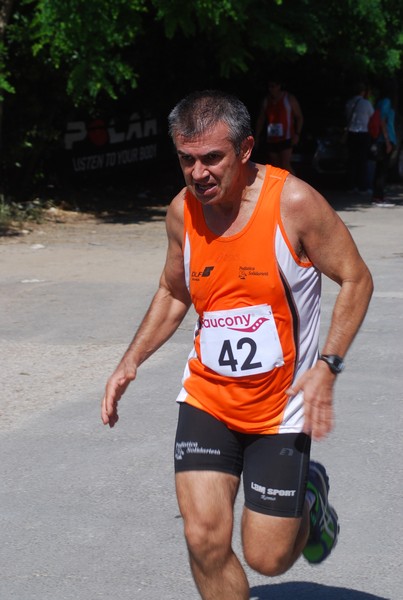 Maratonina di Villa Adriana (31/05/2015) 00174