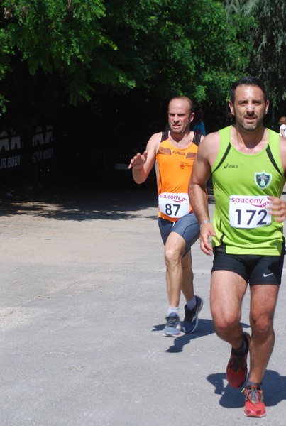 Maratonina di Villa Adriana (31/05/2015) 00180