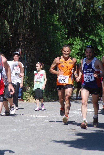 Maratonina di Villa Adriana (31/05/2015) 00184