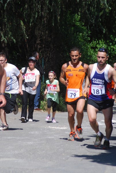 Maratonina di Villa Adriana (31/05/2015) 00185