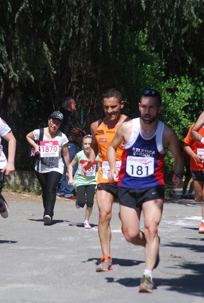 Maratonina di Villa Adriana (31/05/2015) 00186