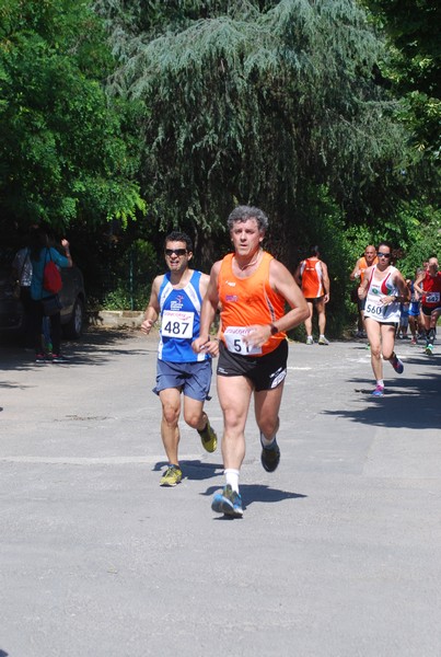 Maratonina di Villa Adriana (31/05/2015) 00193
