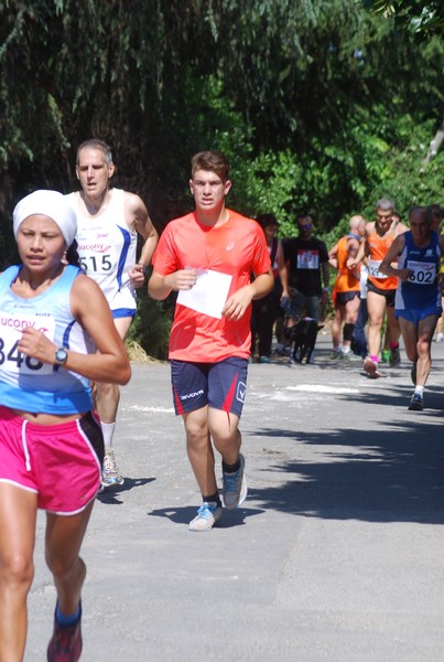 Maratonina di Villa Adriana (31/05/2015) 00198