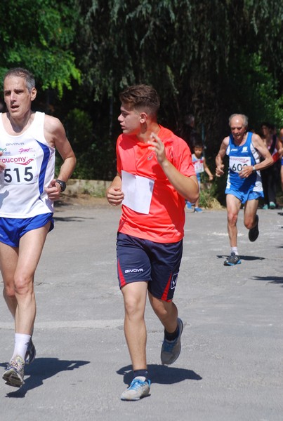 Maratonina di Villa Adriana (31/05/2015) 00201