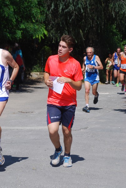 Maratonina di Villa Adriana (31/05/2015) 00202