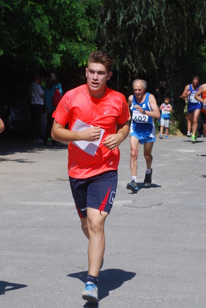 Maratonina di Villa Adriana (31/05/2015) 00203