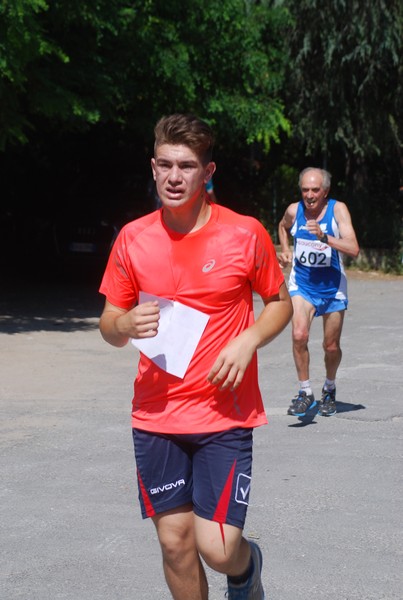 Maratonina di Villa Adriana (31/05/2015) 00204