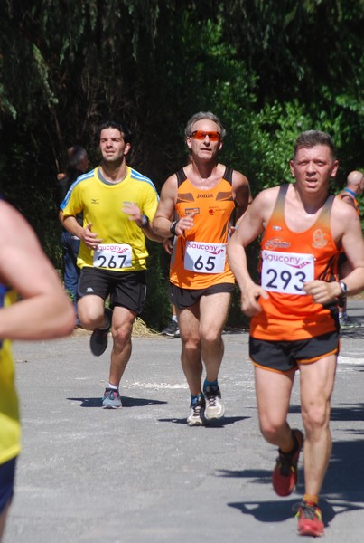 Maratonina di Villa Adriana (31/05/2015) 00207