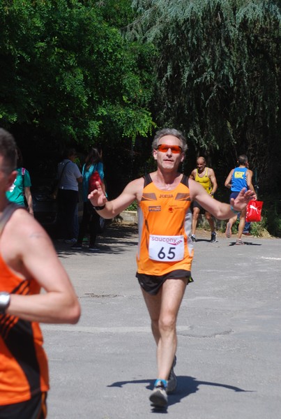 Maratonina di Villa Adriana (31/05/2015) 00209