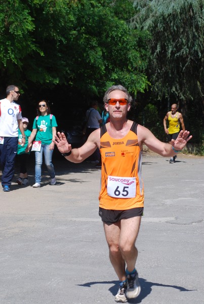 Maratonina di Villa Adriana (31/05/2015) 00210