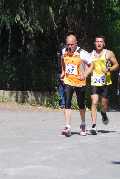 Maratonina di Villa Adriana (31/05/2015) 00217