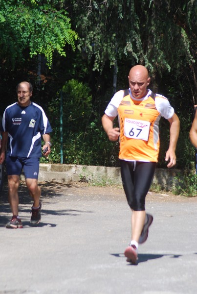 Maratonina di Villa Adriana (31/05/2015) 00219