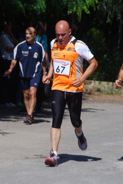 Maratonina di Villa Adriana (31/05/2015) 00221