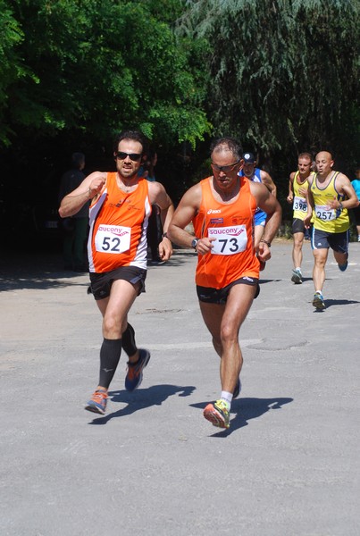 Maratonina di Villa Adriana (31/05/2015) 00226