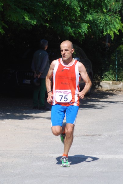 Maratonina di Villa Adriana (31/05/2015) 00232