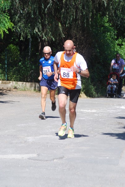 Maratonina di Villa Adriana (31/05/2015) 00235