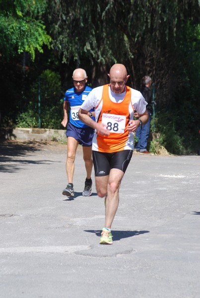 Maratonina di Villa Adriana (31/05/2015) 00236