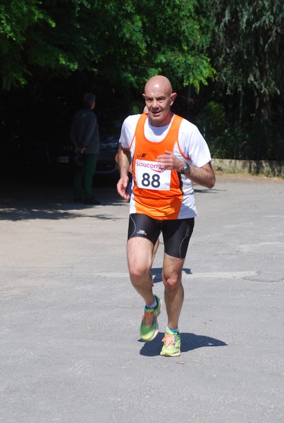 Maratonina di Villa Adriana (31/05/2015) 00239