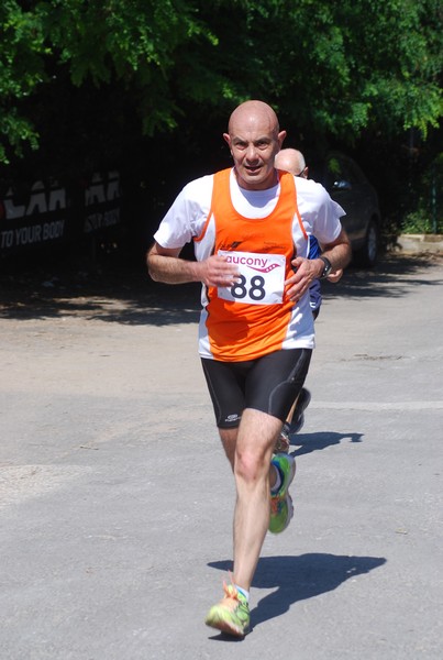 Maratonina di Villa Adriana (31/05/2015) 00240