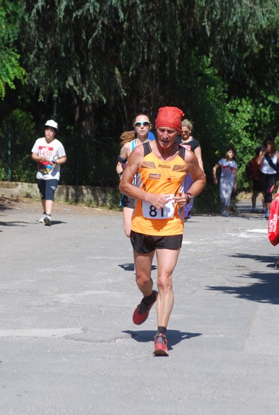 Maratonina di Villa Adriana (31/05/2015) 00242
