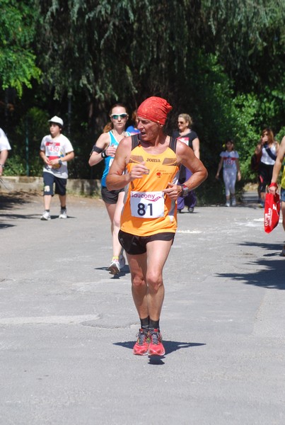 Maratonina di Villa Adriana (31/05/2015) 00243