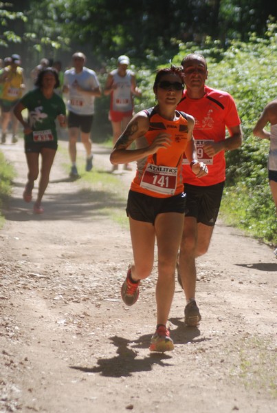 Trofeo Città di Nettuno (02/06/2015) 00084