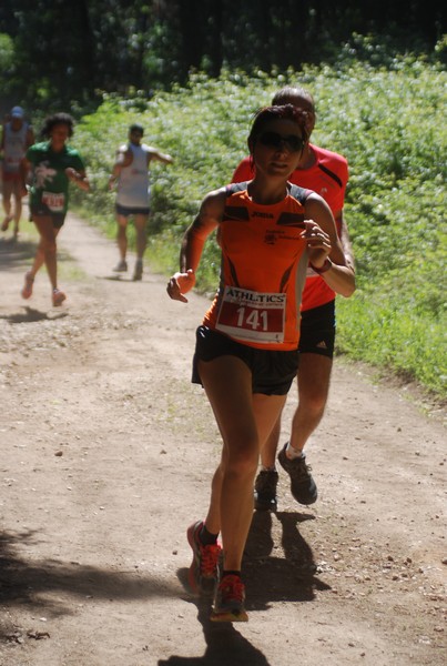 Trofeo Città di Nettuno (02/06/2015) 00087