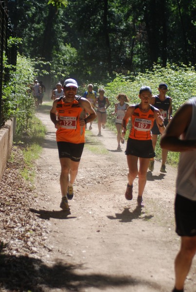 Trofeo Città di Nettuno (02/06/2015) 00152