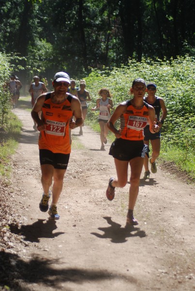 Trofeo Città di Nettuno (02/06/2015) 00153