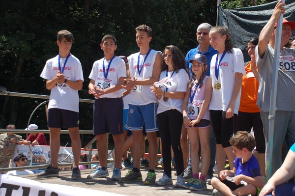 Trofeo Città di Nettuno (02/06/2015) 00042